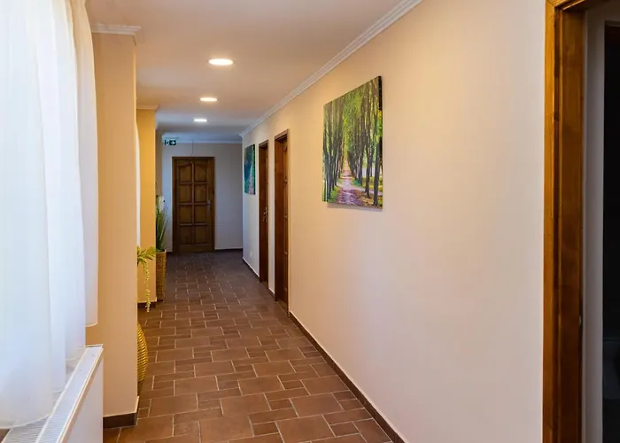 Bed & Breakfast Oereghegyi Bika Panzio